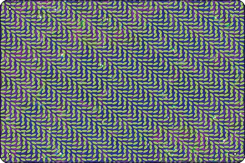 Animal Collective - Merriweath - Home Office X Post incelemesi ve fiyatı